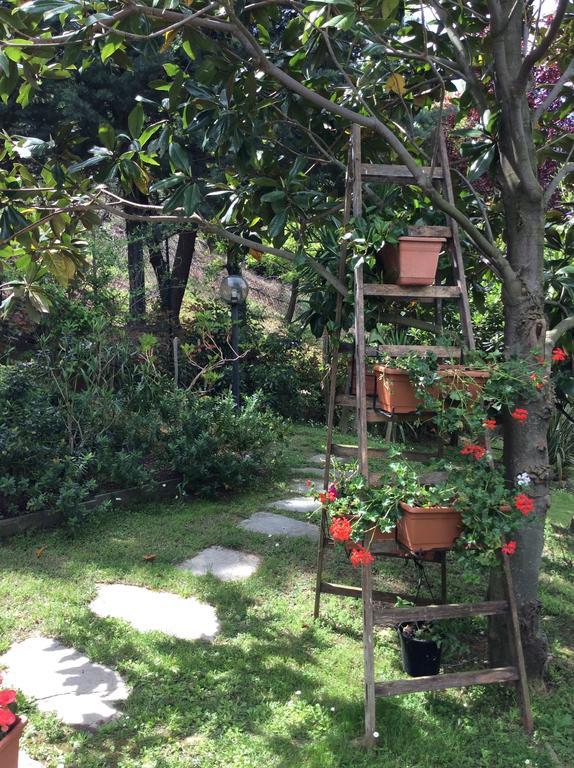 L'Acacia B&B Pietra Ligure Extérieur photo